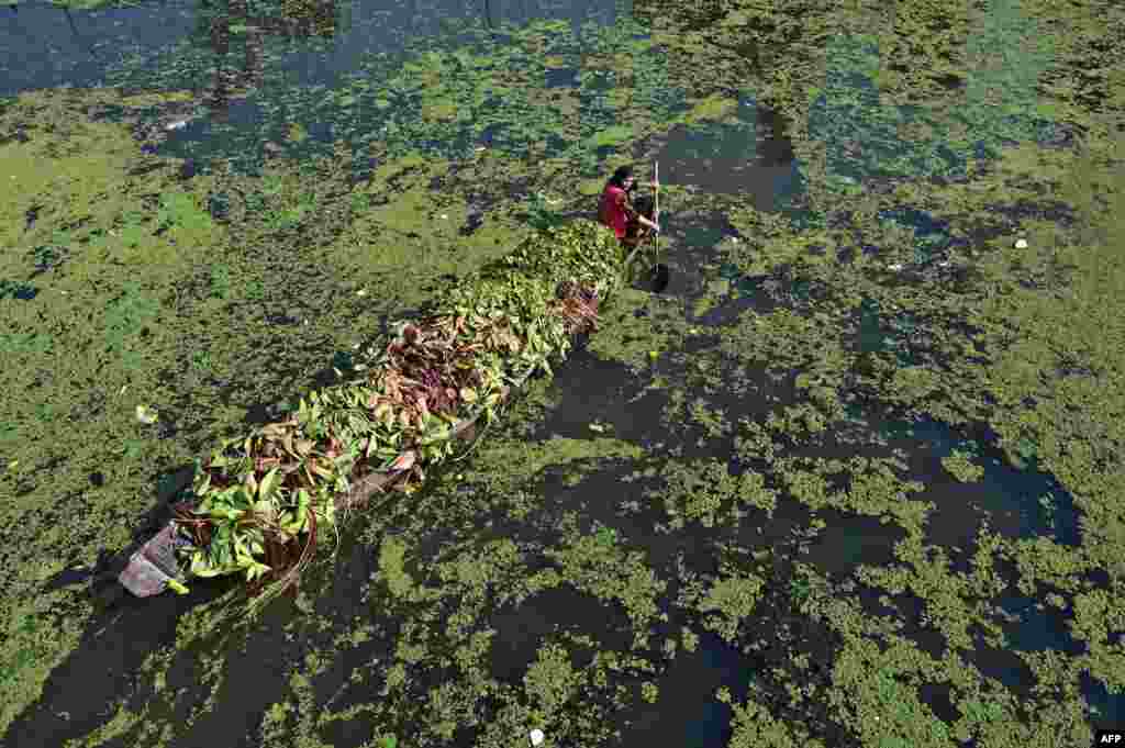 A woman makes her way on a shikara boat on Dal Lake in Srinagar, India.