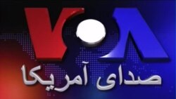 ربط واکسن سل به بیماری دیابت جوانان