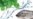 Aquaponics Could Signal Future of Food