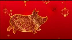 美国观察 2019年2月5日