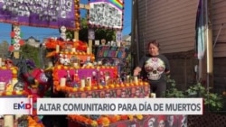 Mujer de Chicago construye gran altar de Día de Muertos