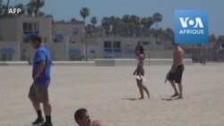 Coronavirus: des dizaines de baigneurs sur une plage de Californie pourtant fermée