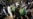 Militant Violence Kills 10 Afghan Journalists in First Half of 2017