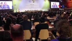 Nations Endorse Landmark Climate Deal in Paris