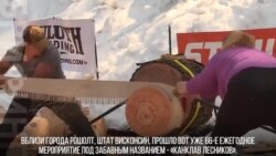 В лесу раздавался топор дровосека