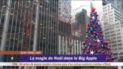La magie de Noël dans le Big Apple