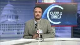 Caawa iyo Dunida