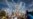 Piden a Disney demorar reapertura de Walt Disney World