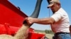 In this Sept. 2012 photo, John Honeywell directs a mixture of seed wheat and rye into a grain drill to plant winter wheat for cattle grazing near Orlando, Oklahoma.