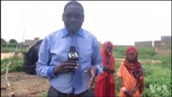 La vie des éleveurs nomades à N'Djamena au Tchad (vidéo)