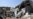 Saudi-led Coalition Denies Blocking Aid to Yemen