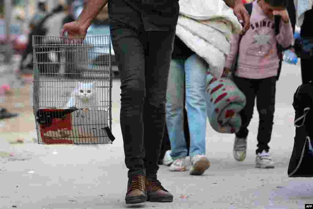 Un hombre lleva a su gato en una jaula mientras las familias desplazadas que huyen del norte de Gaza llegan a Nuseirat, en el centro de la Franja,&nbsp;el 5 de octubre de 2024.