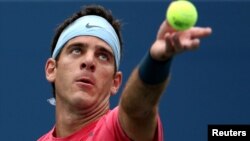 Petenis Argentina Juan Martin Del Potro dalam sebuah pertandingan. (Foto: Dok)