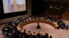 A meeting of the Security Council on Syria takes place at the U.N. headquarters in New York City, December 3, 2024. 