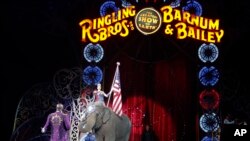 Seekor Gajah Asia tampil saat dikumandangkannya lagu kebangsaan dalam penampilan terakhir kalinya dalam Sirkus Ringling Brothers dan Barnum & Bailey, 1 Mei 2016, di Providence, Rhode Island. (Foto: dok).