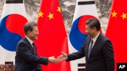 문재인 한국 대통령과 시진핑 중국 국가주석이 지난 2017년 12월 베이징에서 회담했다.