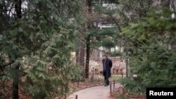 A visitor walks in the Apothecary Garden, also known as the Botanic Garden of Moscow State University, in Moscow, Dec. 18, 2019.