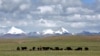 Researchers: Tibetan Glacial Melt Threatens Billions