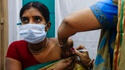 La OMS autorizó el uso de emergencia de la vacuna india Covaxin contra el COVID-19. Foto de archivo: una trabajadora de salud administrando una dosis de la vacuna contra el COVID-19 Covaxin. (AP Foto/Bikas Das)