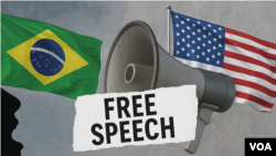 有关捍卫巴西人和美国人的言论自由权利的示意图。