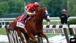 Justify, with jockey Mike Smith up, crosses the finish line to win the Belmont Stakes horse race and the Triple Crown, June 9, 2018, in Elmont, N.Y.