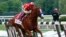 Justify, with jockey Mike Smith up, crosses the finish line to win the Belmont Stakes horse race and the Triple Crown, June 9, 2018, in Elmont, N.Y.