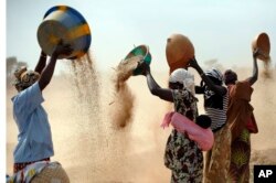 FILE- Malian women sift wheat in a field near Segou, central Mali, Jan. 22, 2013.