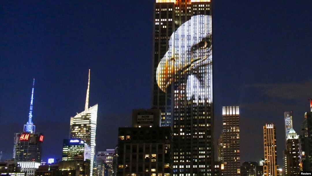 Sebuah foto hewan diproyeksikan di Empire State Building sebagai bagian dari kampanye meningkatkan kesadaran atas hewan langka, di New York, 1 Agustus 2015. 