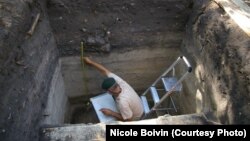 At an ancient settlement site in Madagascar, residues of plant remains were obtained from sediments in the archaeological layers