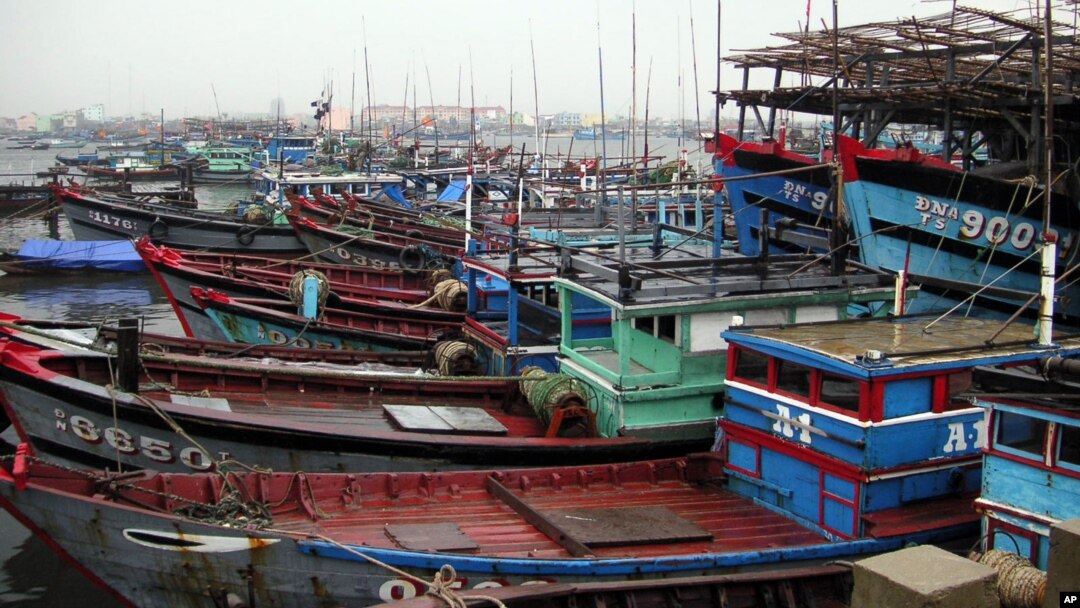 Tàu đánh cá neo đậu tại Đà Nẵng, Việt Nam.