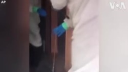 Իսպանիայում կենդանիների պաշտպանության աշխատակիցները կորոնավիրուսով հիվանդների տներից դուրս են բերում նրանց շներին