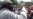 Pakistan-based Rebel Leader Warns India Over Kashmir Violence