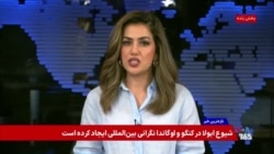 گسترش مدارس دینی در حاکمیت طالبان و نگرانی از افراط‌گرایی در منطقه