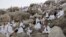 Muslim pilgrims gather to pray at Jabal Al Rahma holy mountain, or the mountain of forgiveness, during the annual pilgrimage, known as the hajj, near Mecca, Saudi Arabia, Oct. 3, 2014. 
