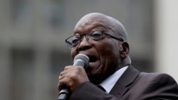 Zuma becomes the wildcard in the current South African election