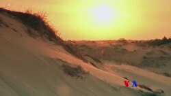 ကန္တာရထဲ ခရီးထွက်ကြမလား