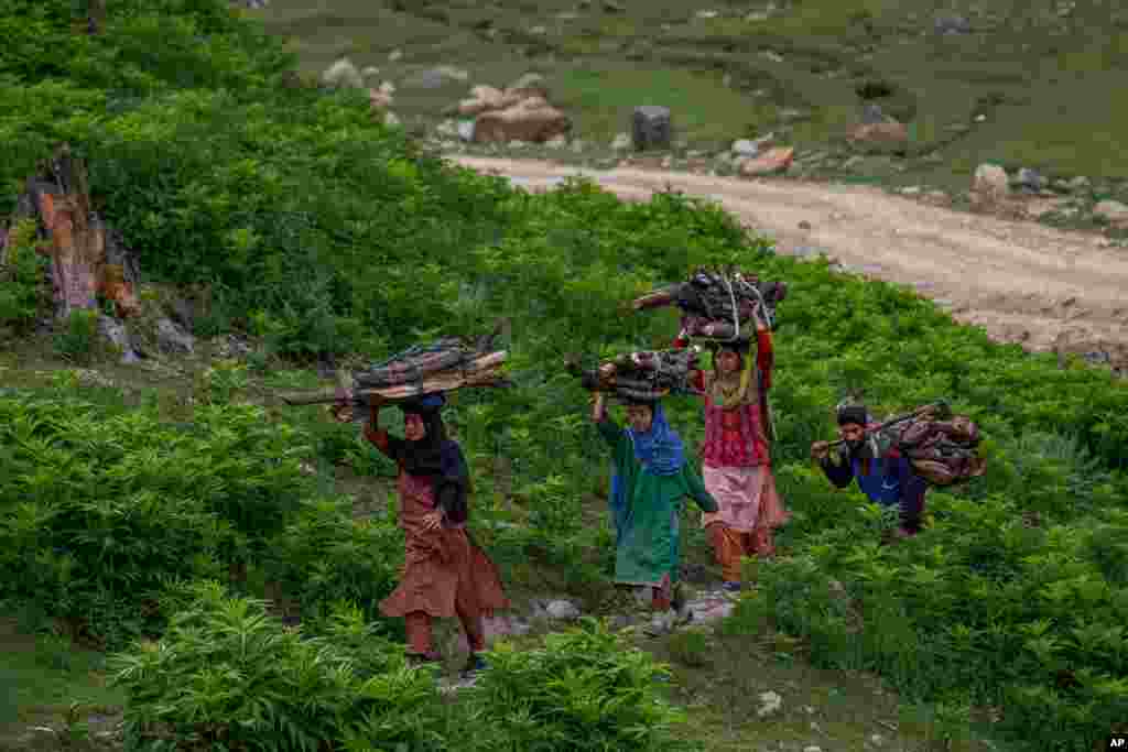 Villagers carry firewood in Tosamaidan, southwest of Srinagar, Indian-controlled Kashmir, June 21, 2021.