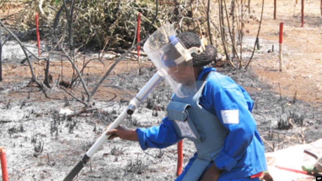 Landmines were responsible for many thousands of deaths and injuries in African countries. Here, a demining operation in Mozambique.