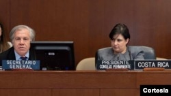 El pasado jueves, durante la sesión extraordinaria del Consejo Permanente de la OEA, Costa Rica hizo un llamado a la comunidad internacional para sumar esfuerzos para garantizar el respeto de los derechos humanos en Nicaragua.