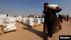 A displaced woman, who fled from Mosul due to Islamic State violence, carries food in Khazer refugee camp, east of Mosul, Iraq, Nov. 7, 2016. 