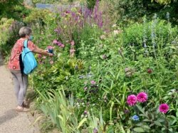 Anne-Marie da Silva snaps a photo of Monet's garden. French tourists like herself are rediscovering their heritage this summer. (Photo: Lisa Bryant/VOA)