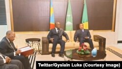  Ba Prezida Dennis Sassou Nguesso na Felix Tshisekedi baganira mu mwiherero i Brazzaville, tariki ya 7/2/2019