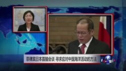 VOA连线：日本政府就中国向联合国提交慰安妇档案申遗表示遗憾
