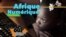Afrique Numérique - juin 2017