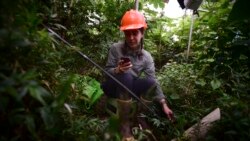 Quiz - Hurricanes Create Natural Climate Change Laboratories in Puerto Rico