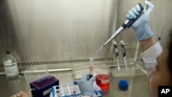 A scientist prepares a blood sample in a laboratory at the Center for Scientific Research Caucaseco in the outskirts of Cali, Colombia, April 25, 2012.