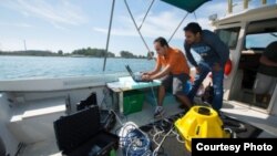 Doctoral candidates in Melodia's lab, Hossain and Kulhandjian (above), dropped two 40-pound sensors into the water and then typed a command into a laptop. (Credit: Douglas Levere)