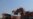 Rights Group Slams China for Alleged Zambia Mine Abuses