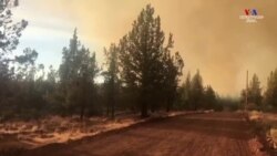 ԱՄՆ-ի արևմտյան նահանգներում հրշեջները շարունակում են պայքարը անտառային հրդեհների դեմ