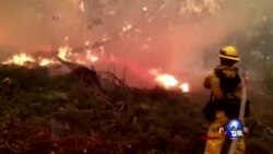 加州山火肆虐，仍无减弱迹象